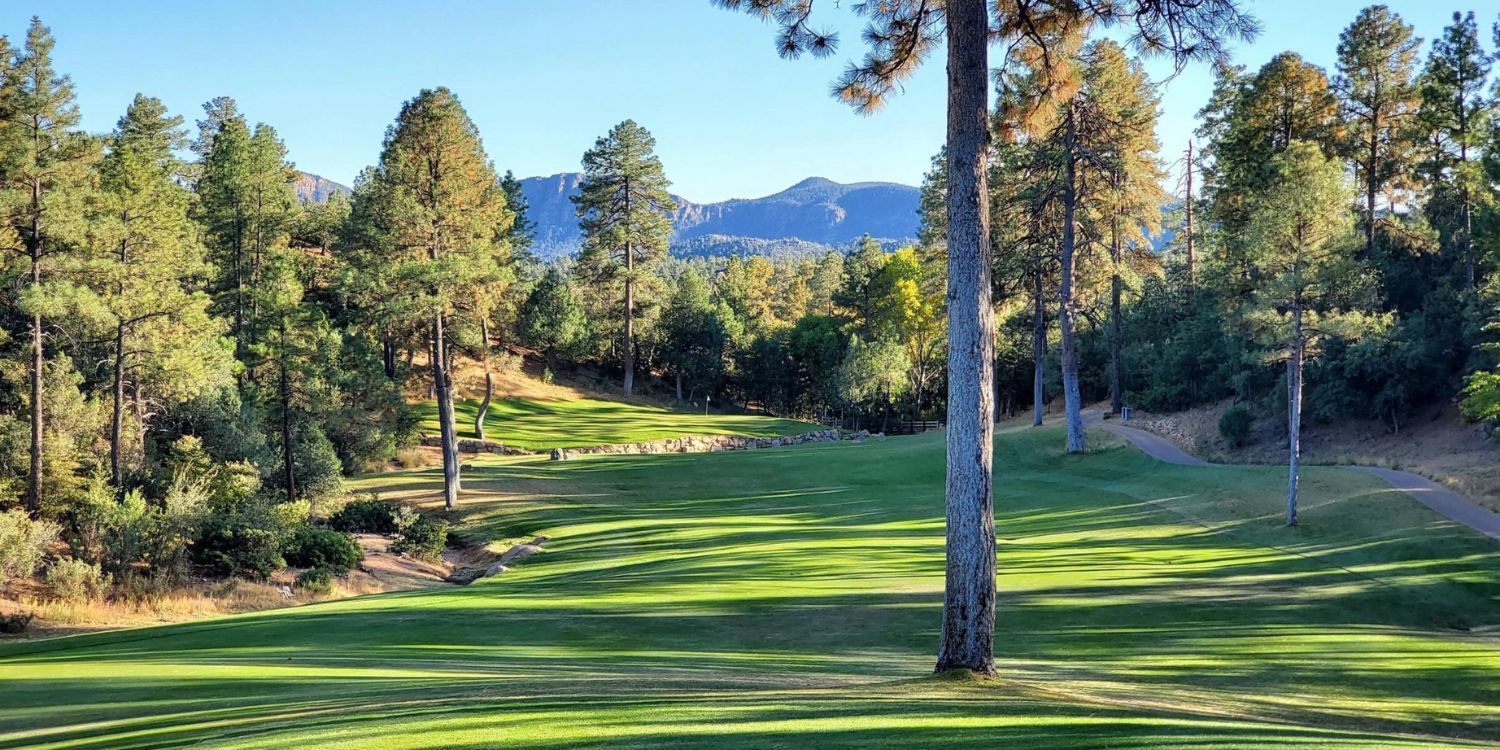 Chaparral Pines Golf Club
